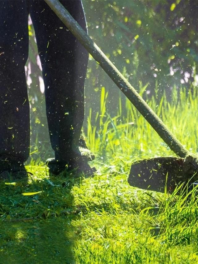 Deja en manos de Desbroces ICG el cuidado de tu jardín