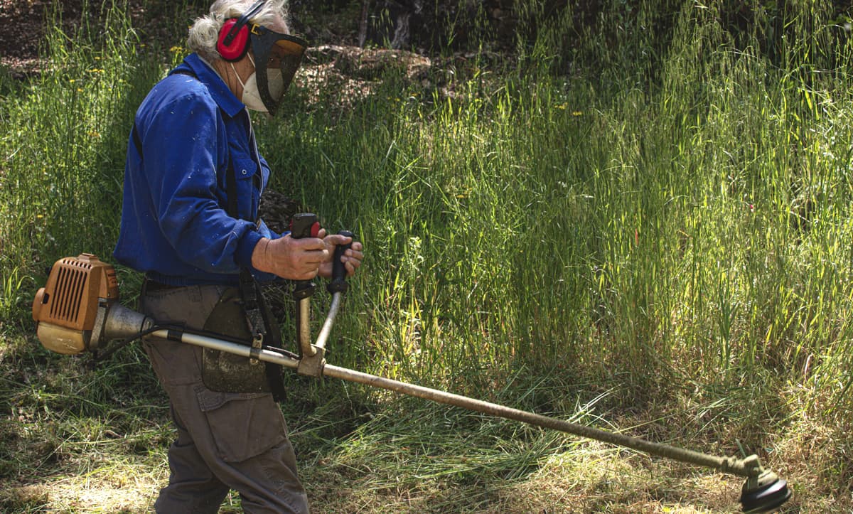 Desbroce manual en Vigo