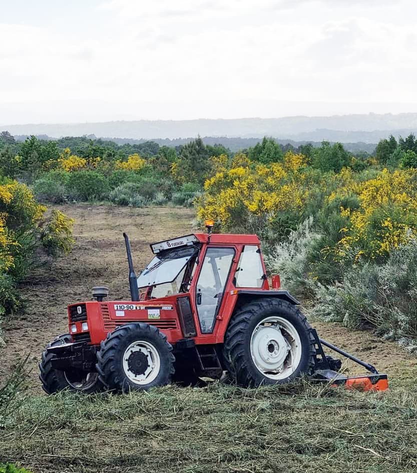Limpieza y desbroces de fincas en Ourense y alrededores