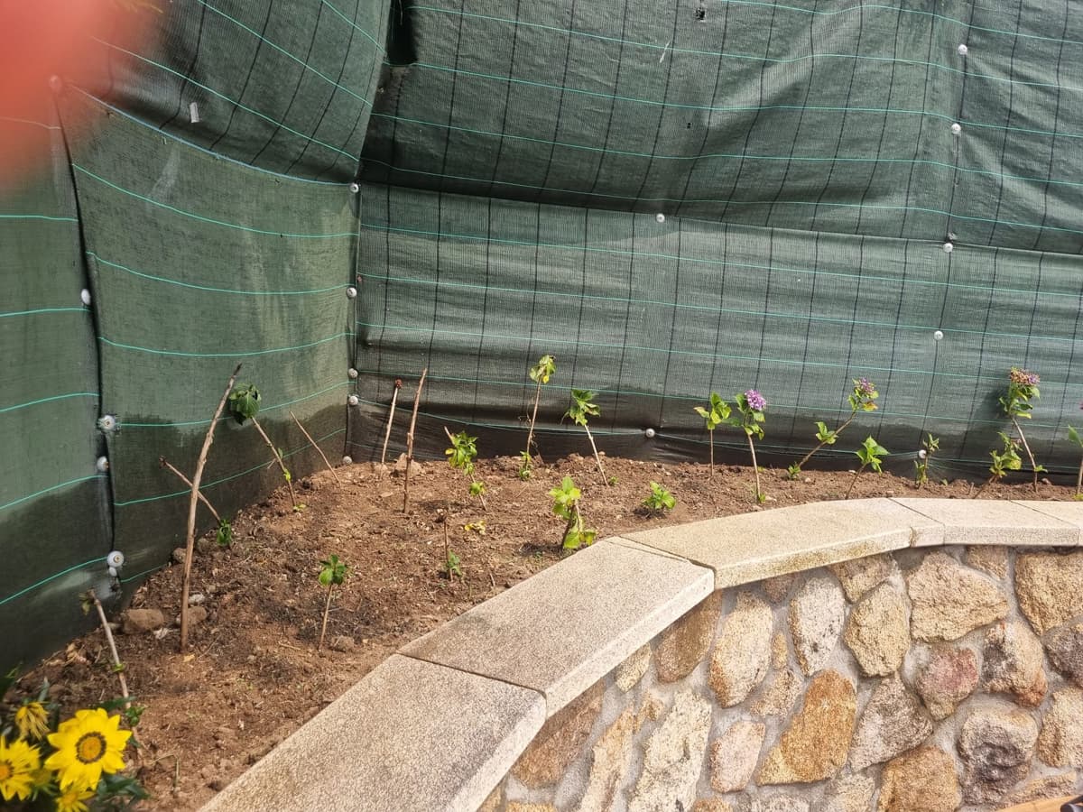 Mantenimiento de jardines en Ourense