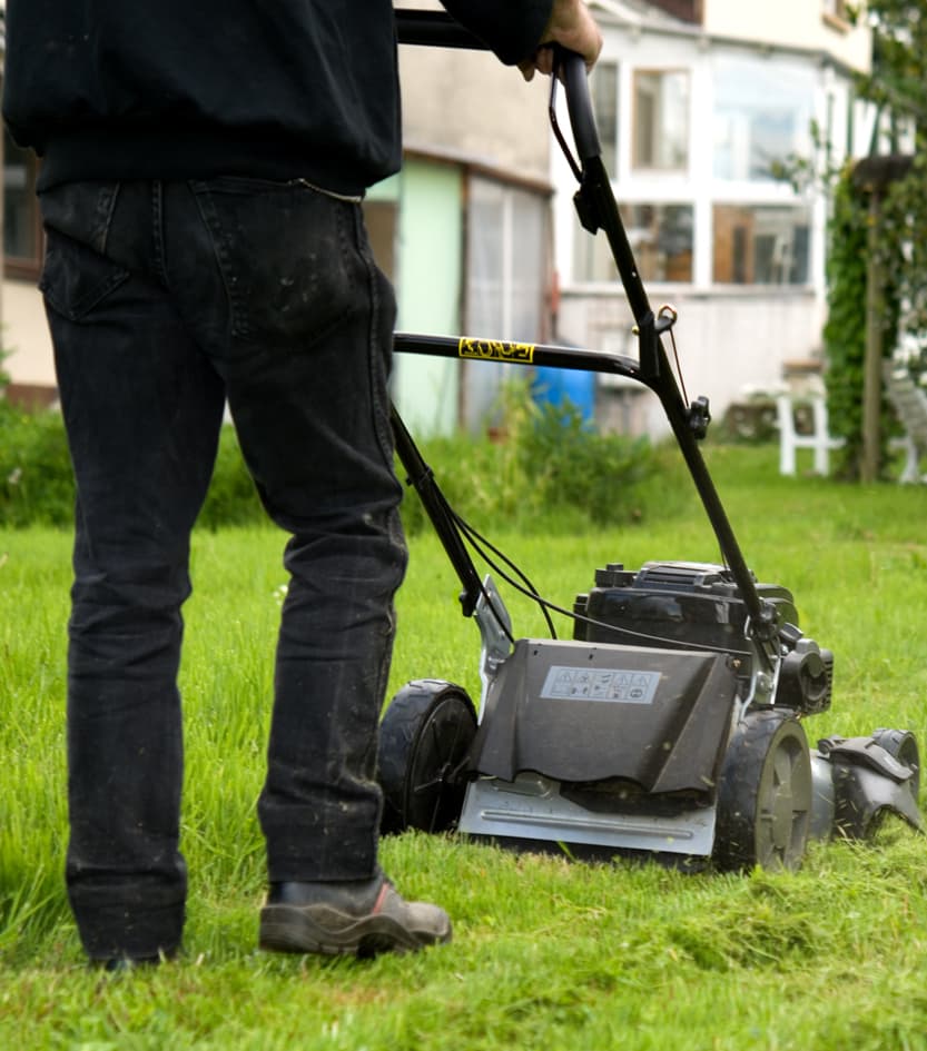 ¿Busca un experto en mantenimiento de jardines en Ourense?