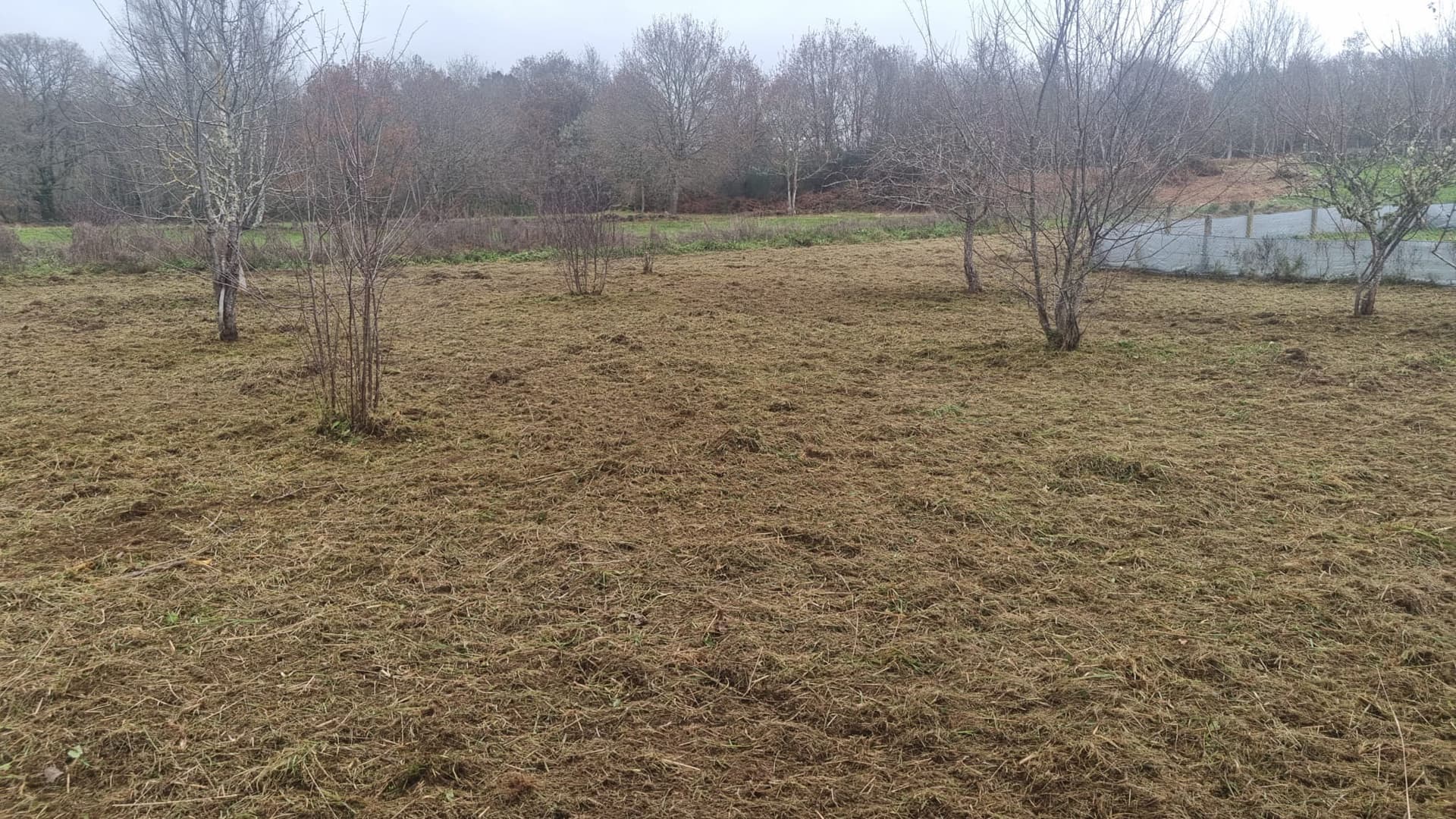 Consulta el precio de desbrozar una finca en Ourense