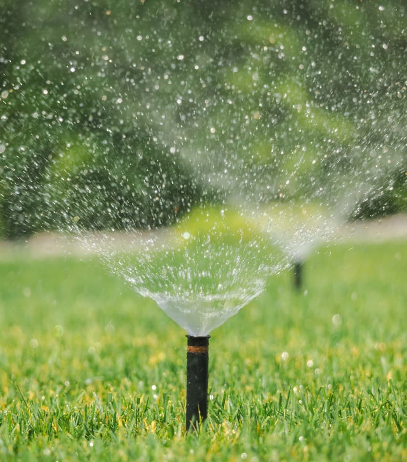 Instalar sistema de riego en Ourense