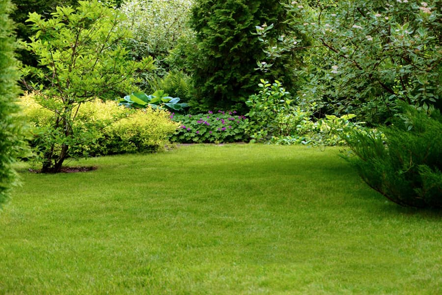  Suministro de plantas, árboles y césped en A Coruña